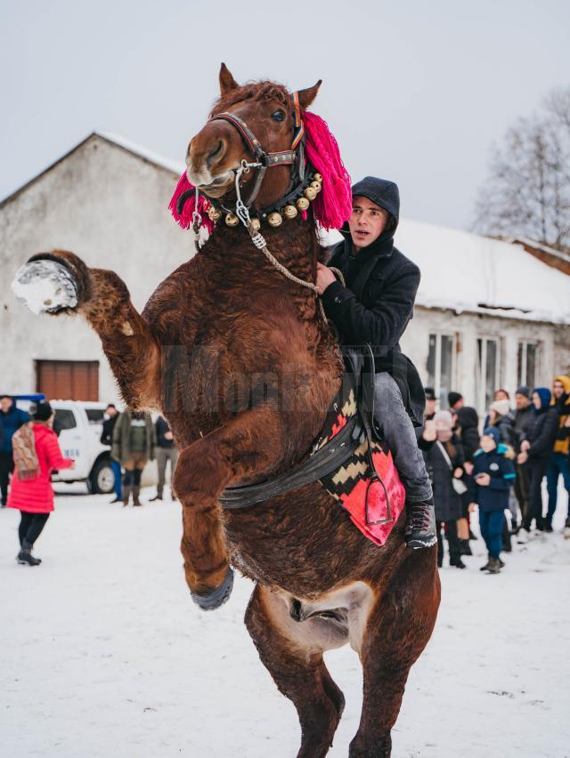 „Parada Cailor și a portului popular” și Balul Gospodarilor, la Moldovița