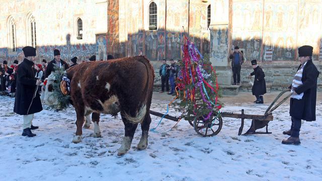 Urătura tradițională din Vatra Moldoviței: Povestea unei moșteniri bucovinene