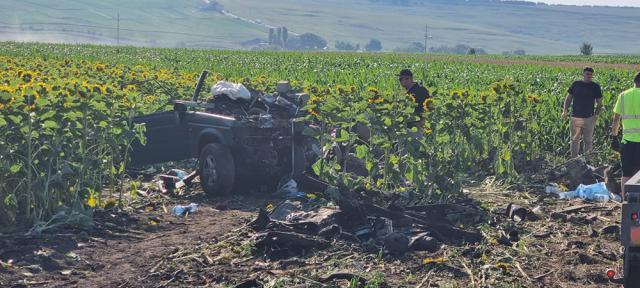 Cumplitul accident de la Cumpărătura