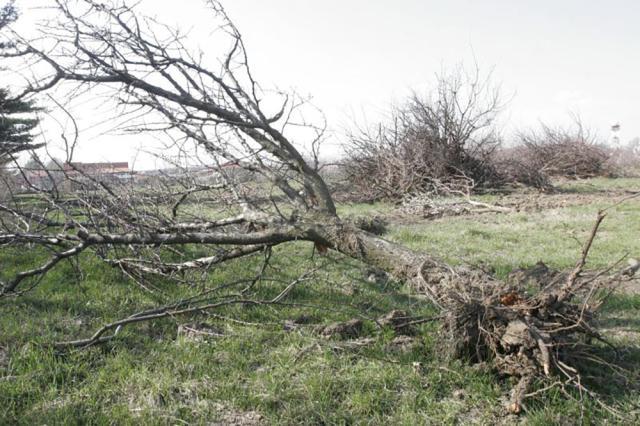 „Furtună la Ostra”