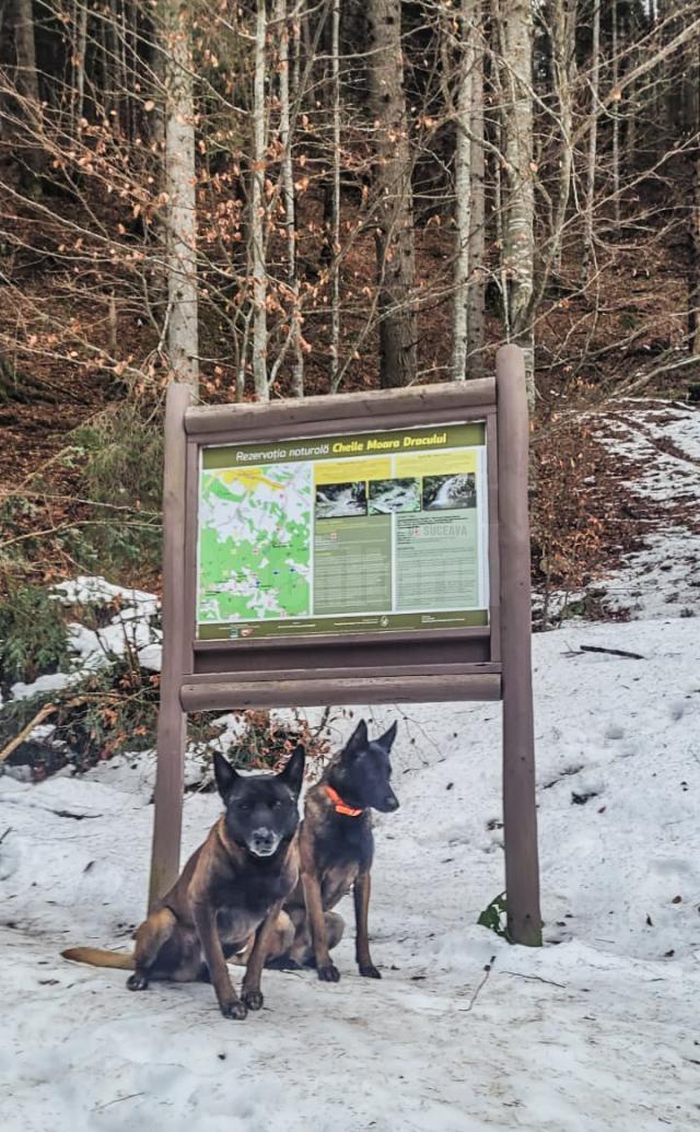 Traseele turistice din masivul Rarău prezintă o serie de pericole pentru turiști. Atenționarea a fost transmisă de Serviciul Salvamont Suceava