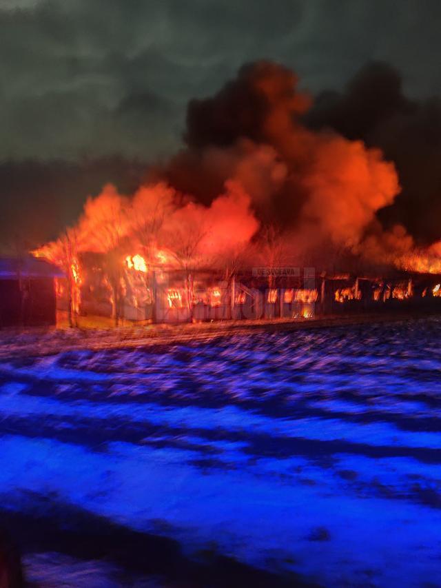 Dezastrul de la ferma din satul Vornicenii Mici, comuna Moara