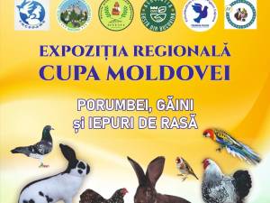 Expoziție cu vânzare de porumbei, găini și iepuri de rasă