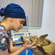 O căprioară care avea dificultăți de respirație a devenit pacientul unei clinici veterinare din municipiul Suceava