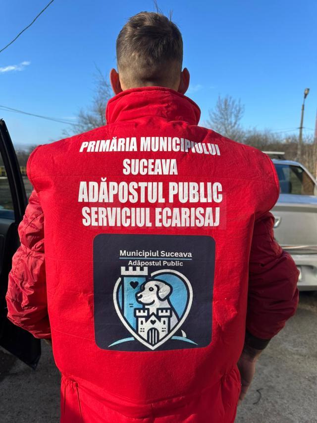 Hingherii din Suceava, echipați în uniforme inscripționate pentru a fi identificați în serviciul public