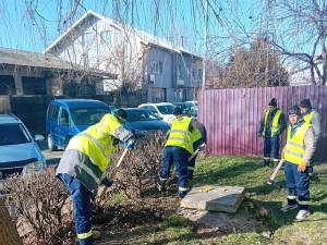 Lucrări de ecologizare și regenerare a spațiilor verzi din municipiul Suceava