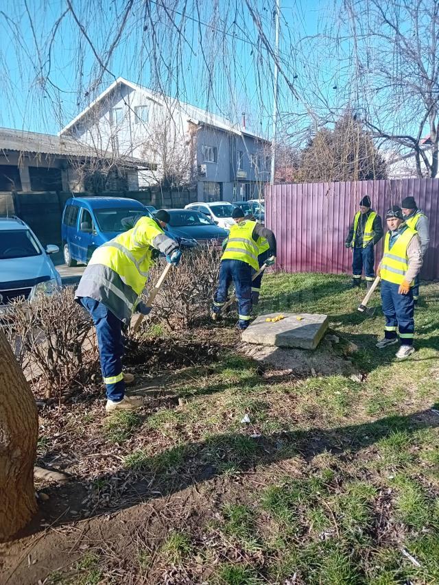 Lucrări de ecologizare și regenerare a spațiilor verzi din municipiul Suceava