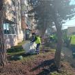 Lucrări de ecologizare și regenerare a spațiilor verzi din municipiul Suceava