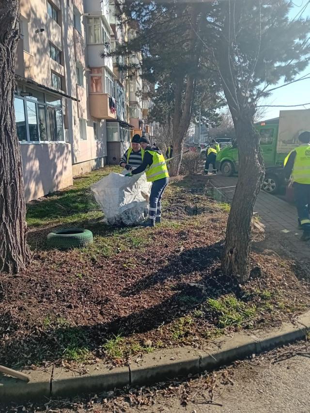 Lucrări de ecologizare și regenerare a spațiilor verzi din municipiul Suceava