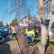 Lucrări de ecologizare și regenerare a spațiilor verzi din municipiul Suceava