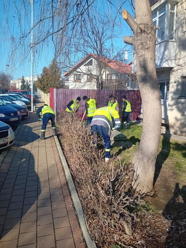 Lucrări de ecologizare și regenerare a spațiilor verzi din municipiul Suceava