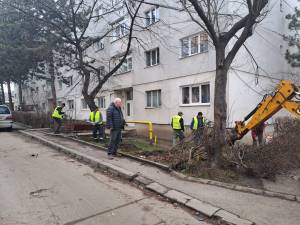 Mobilizare puternică pentru ecologizarea spațiilor verzi din cartierele Sucevei