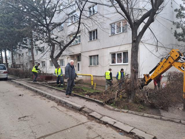 Mobilizare puternică pentru ecologizarea spațiilor verzi din cartierele Sucevei