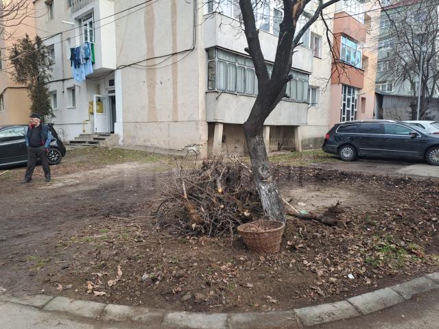 Mobilizare puternică pentru ecologizarea spațiilor verzi din cartierele Sucevei