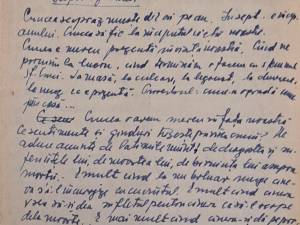 Două cuvinte ale Sf. Pr. Mărturisitor Dumitru Stăniloae păstrate în însemnările Episcopului Irineu Crăciunaș