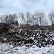 Lemn de foc din tăierile și toaletarea de arbori din municipiul Suceava, distribuit către 20 ...