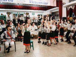 „Șezătoarea Vicovenilor”