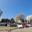 Abonamentele de parcare pentru riverani cresc de la 100 la 500 lei pe an la persoane fizice, ...