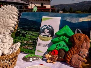 Festivaluri, competiții sportive și manifestări culturale, pentru toate gusturile și toate vârstele, în Țara Dornelor