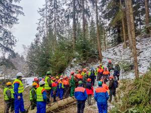 Instructaje de securitate a muncii organizate în pădure, la Ocoalele Silvice Vama, Pojorâta și Moldovița