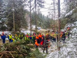 Instructaje de securitate a muncii organizate în pădure, la Ocoalele Silvice Vama, Pojorâta și Moldovița