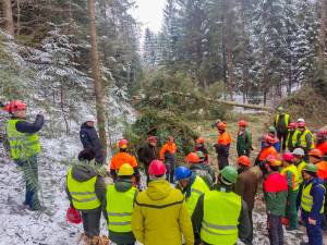 Instructaje de securitate a muncii organizate în pădure, la Ocoalele Silvice Vama, Pojorâta și Moldovița