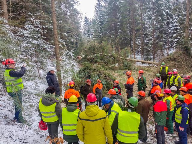 Instructaje de securitate a muncii organizate în pădure, la Ocoalele Silvice Vama, Pojorâta și Moldovița