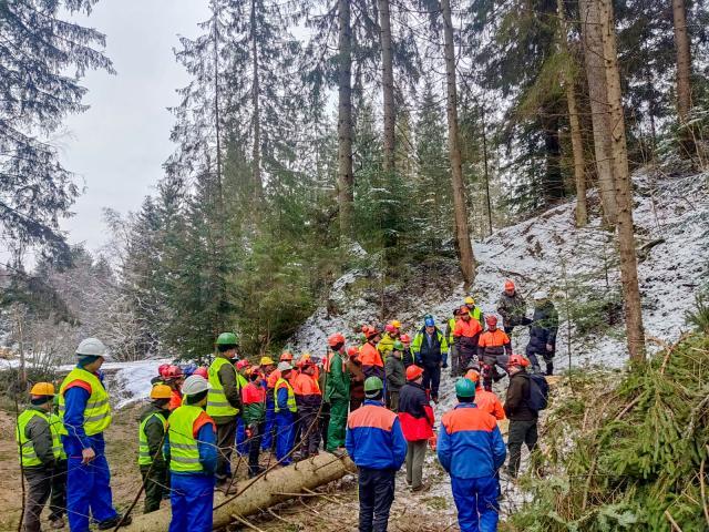 Instructaje de securitate a muncii organizate în pădure, la Ocoalele Silvice Vama, Pojorâta și Moldovița