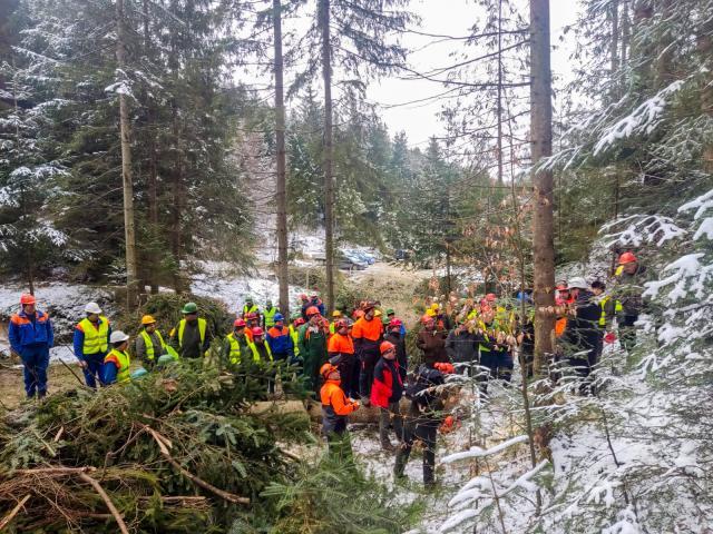 Instructaje de securitate a muncii organizate în pădure, la Ocoalele Silvice Vama, Pojorâta și Moldovița