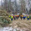 Instructaje de securitate a muncii organizate în pădure, la Ocoalele Silvice Vama, Pojorâta și Moldovița