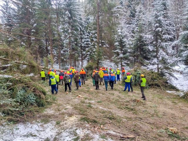 Instructaje de securitate a muncii organizate în pădure, la Ocoalele Silvice Vama, Pojorâta și Moldovița