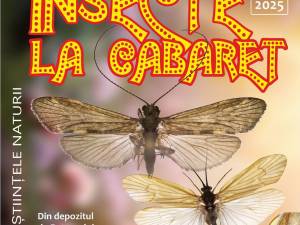 „Insecte la Cabaret”, expoziție la Muzeul de Științele Naturii Suceava