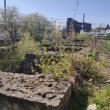 Valorizarea Curții Domnești din Suceava, pe lista de priorități a administrației Rimbu