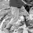 Proiectul „Servicii comunitare pentru familii unite”. ...