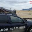Lemn ilegal deținut de un operator economic din Mălini, depistat de Garda Forestieră ...