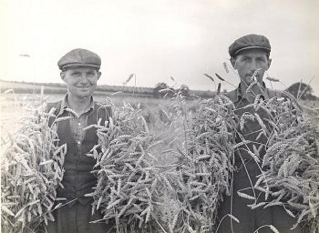 „Propaganda agro-zootehnică”