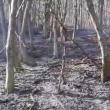 Nu mai puțin de șase incendii de vegetație uscată în doar 24 de ore
