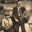 „Poporaţiunea noastră rurală”