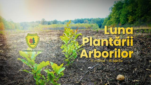 Luna Plantării Arborilor se desfășoară între 15 martie și 15 aprilie