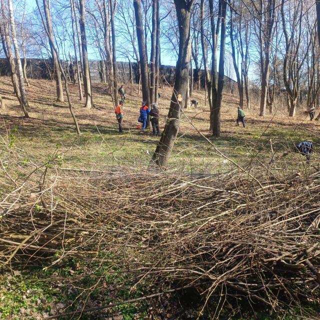 Ample lucrări de igienizare și de refacere a căii principale de acces din Parcul Șipote