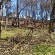 Ample lucrări de igienizare și de refacere a căii principale de acces din Parcul Șipote