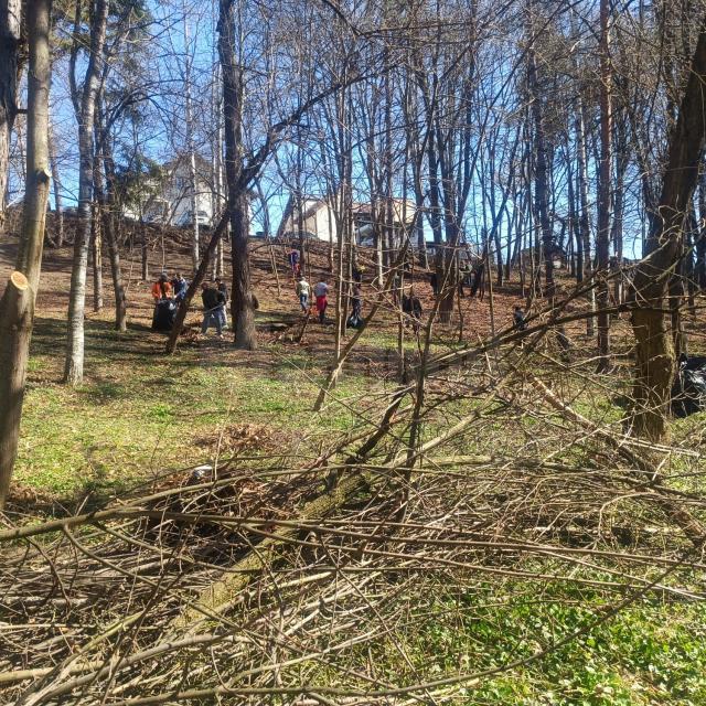 Ample lucrări de igienizare și de refacere a căii principale de acces din Parcul Șipote