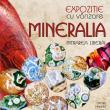„Mineralia”, expoziție cu vânzare la Muzeul de Științele Naturii. ...