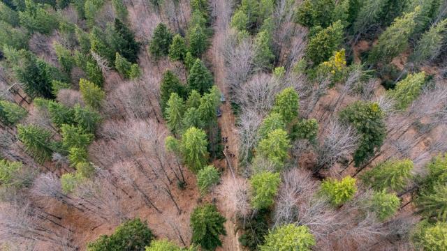 Gheorghe Șoldan este decis să construască un nou drum între Slatina și Mălini
