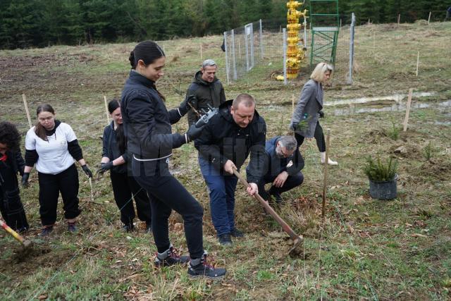 Plantare de arbori la Ocolul Silvic Bisericesc Ilișești, cu voluntarii din ATOS