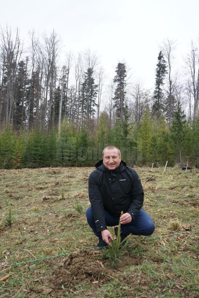 “Într-o lume tot mai fragilă, pădurea rămâne rădăcina echilibrului nostru”, spune Ciprian Muscă