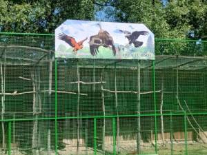 Colțul zoologic Arca lui Noe, înființat la Zaharești de împătimitul colecționar Dorin Șoimaru