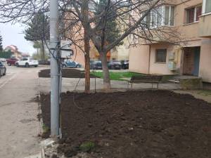 Spațiu verde și bănci, în locul betoanelor, sub geamurile blocurilor din Burdujeni