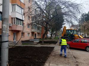 Amenajarea spațiilor verzi