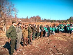 Silvicultorii suceveni și elevii au plantat puieți forestieri de brad, larice, paltin de munte și frasin